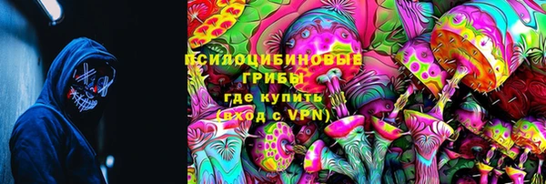 ALPHA PVP Покачи