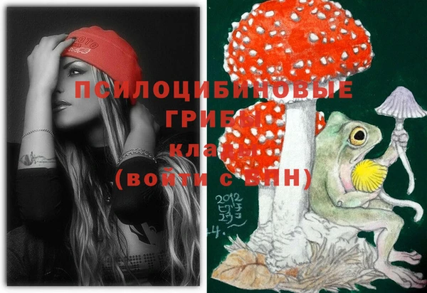 ALPHA PVP Покачи
