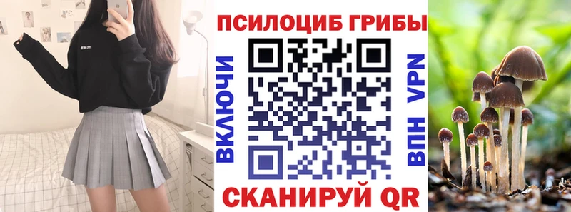 Псилоцибиновые грибы прущие грибы Луховицы