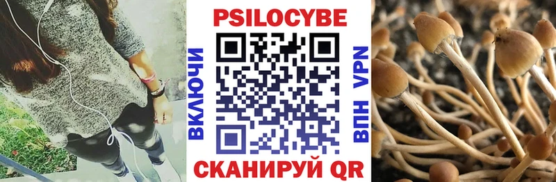 Галлюциногенные грибы MAGIC MUSHROOMS дарнет шоп MEGA вход Луховицы