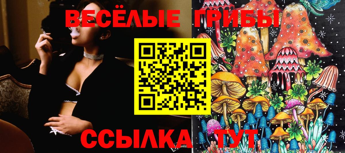 Галлюциногенные грибы Psilocybine cubensis  Вход с VPN  Луховицы 